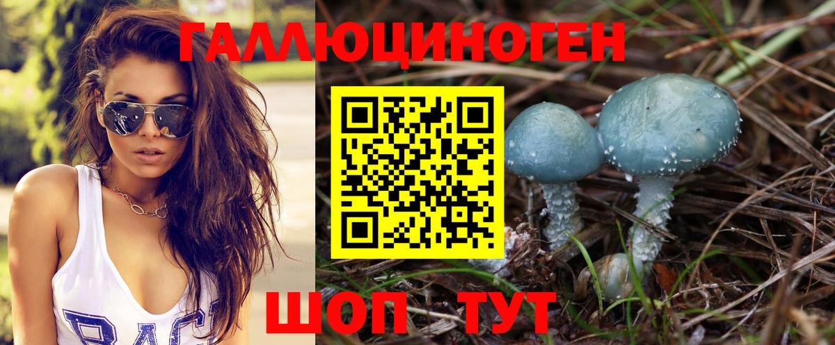 Галлюциногенные грибы Cubensis  Вход с VPN  Киров  Псилоцибиновые грибы мицелий 